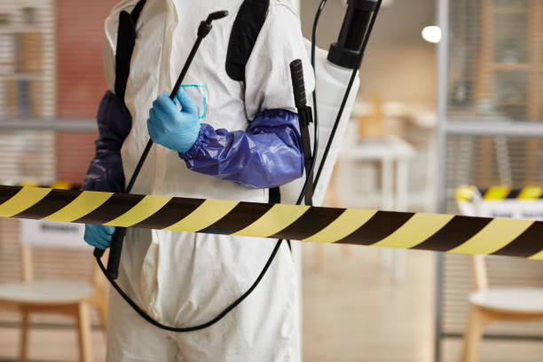 Professional Hoarding Cleanup technician working in Wofford Heights, CA